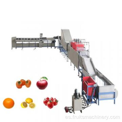 Línea completa de procesamiento automático de cerezas